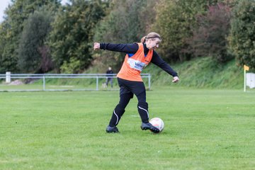 Bild 202 - F SG Daenisch Muessen - SG Blau-Rot Holstein : Ergebnis: 3:1